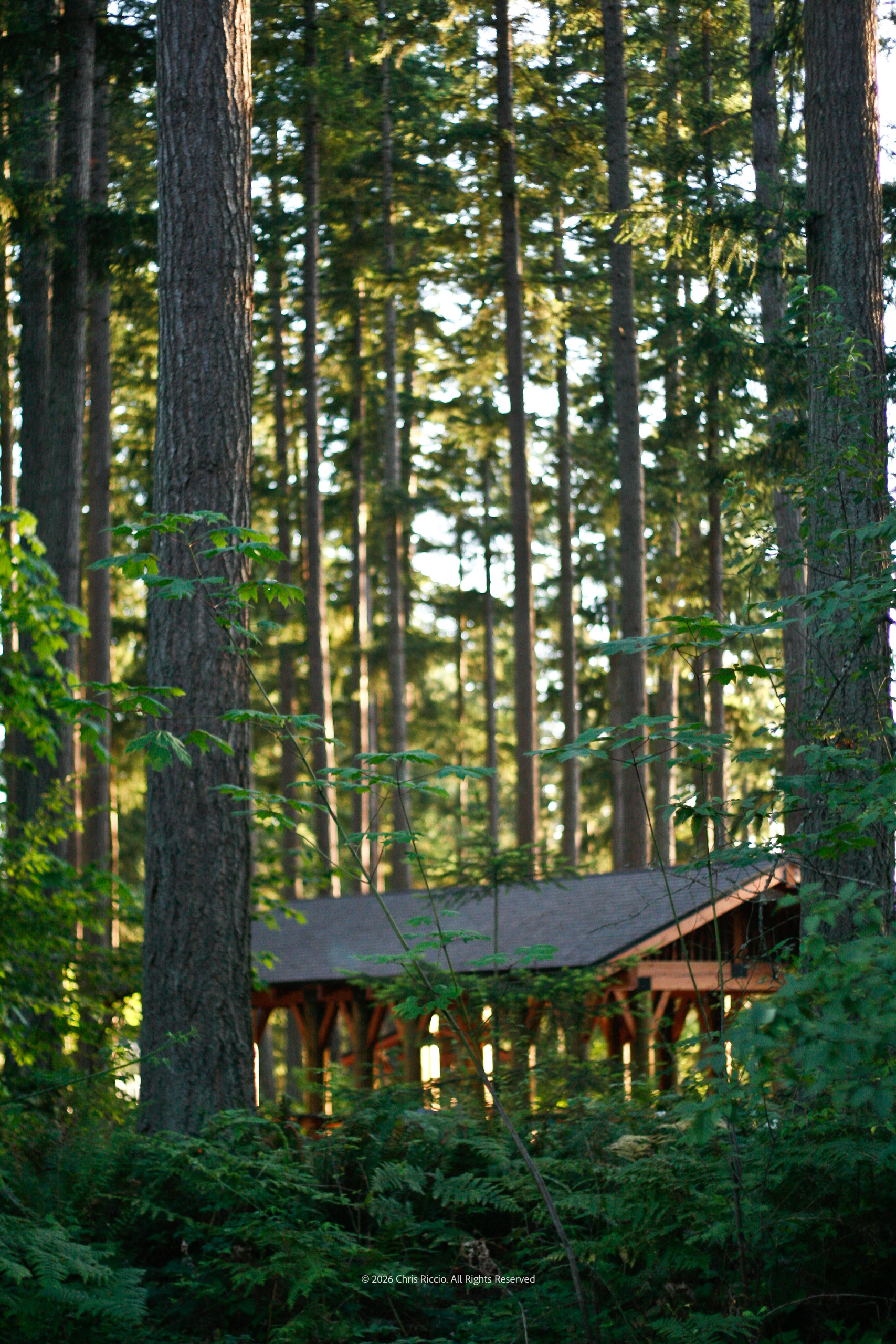 Shelter at Pine Lake